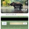 Fillable Kenya Co-operative bank of Kenya visa classic card Templates | Layer-Based PSD