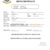 Authentic Kiribati Birth Certificate Template | Customize and Download Online