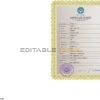 Authentic Kyrgyzstan Birth Certificate Template | Customize and Download Online