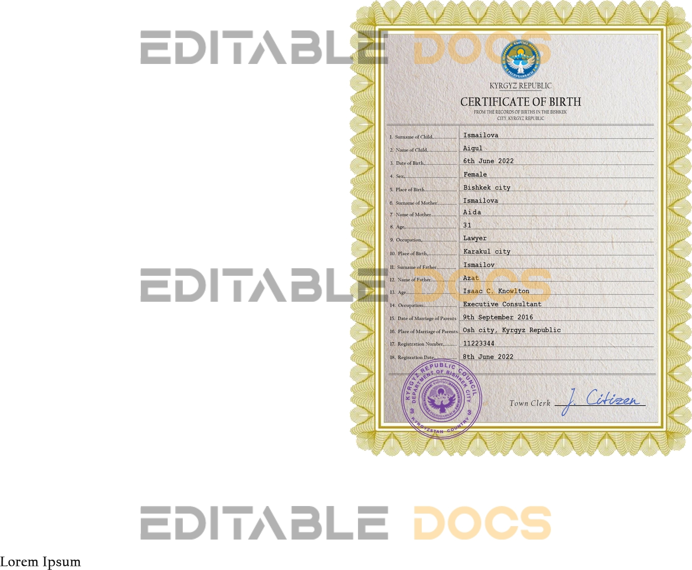 Authentic Kyrgyzstan Birth Certificate Template | Customize and Download Online