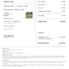 Customizable Kyrgyztsan Airbnb Reservation Template | Word & PDF Formats
