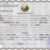 Authentic Laos Birth Certificate Template | Customize and Download Online