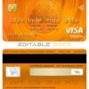 Fillable Latvia Swedbank visa electron card Templates | Layer-Based PSD