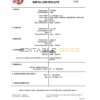 Authentic Latvia Birth Certificate Template | Customize and Download Online