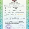 Authentic Latvia Birth Certificate Template | Customize and Download Online