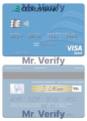 Fillable Lebanon Cedrus Bank visa card Templates | Layer-Based PSD