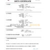 Authentic Lebanon Birth Certificate Template | Customize and Download Online