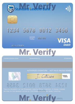 Fillable Lesotho Standard Bank visa card Templates | Layer-Based PSD