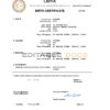Authentic Libya Birth Certificate Template | Customize and Download Online