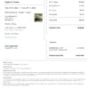 Customizable Liechtenstein Airbnb Reservation Template | Word & PDF Formats