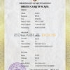 Authentic Liechtenstein Birth Certificate Template | Customize and Download Online
