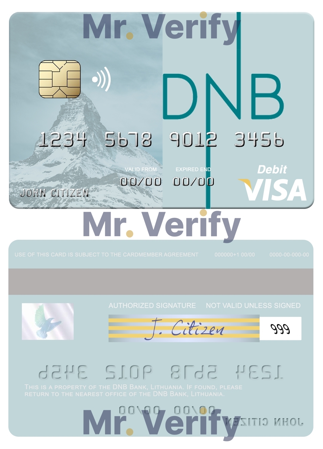 Fillable Lithuania DNB Bank visa card Templates | Layer-Based PSD