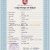 Authentic Lithuania Birth Certificate Template | Customize and Download Online