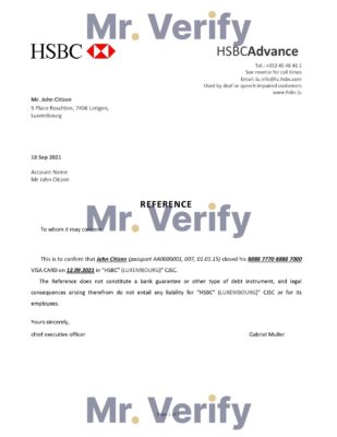 Download Luxembourg HSBC Bank Reference Letter Templates Editable Word