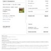 Customizable Madagascar Airbnb Reservation Template | Word & PDF Formats