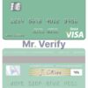 Fillable Madagascar Bank of Africa visa credit card Templates | Layer-Based PSD