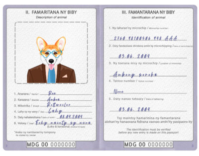 Madagascar dog Fake PSD Passport | Instant Download