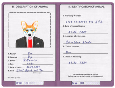 Malawi dog Fake PSD Passport | Instant Download