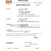 Authentic Malaysia vital record Birth Certificate Template | Customize and Download Online