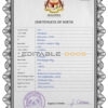 Authentic Malaysia Birth Certificate Template | Customize and Download Online