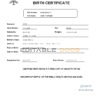 Authentic Maldives Birth Certificate Template | Customize and Download Online