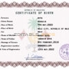 Authentic Maldives Birth Certificate Template | Customize and Download Online