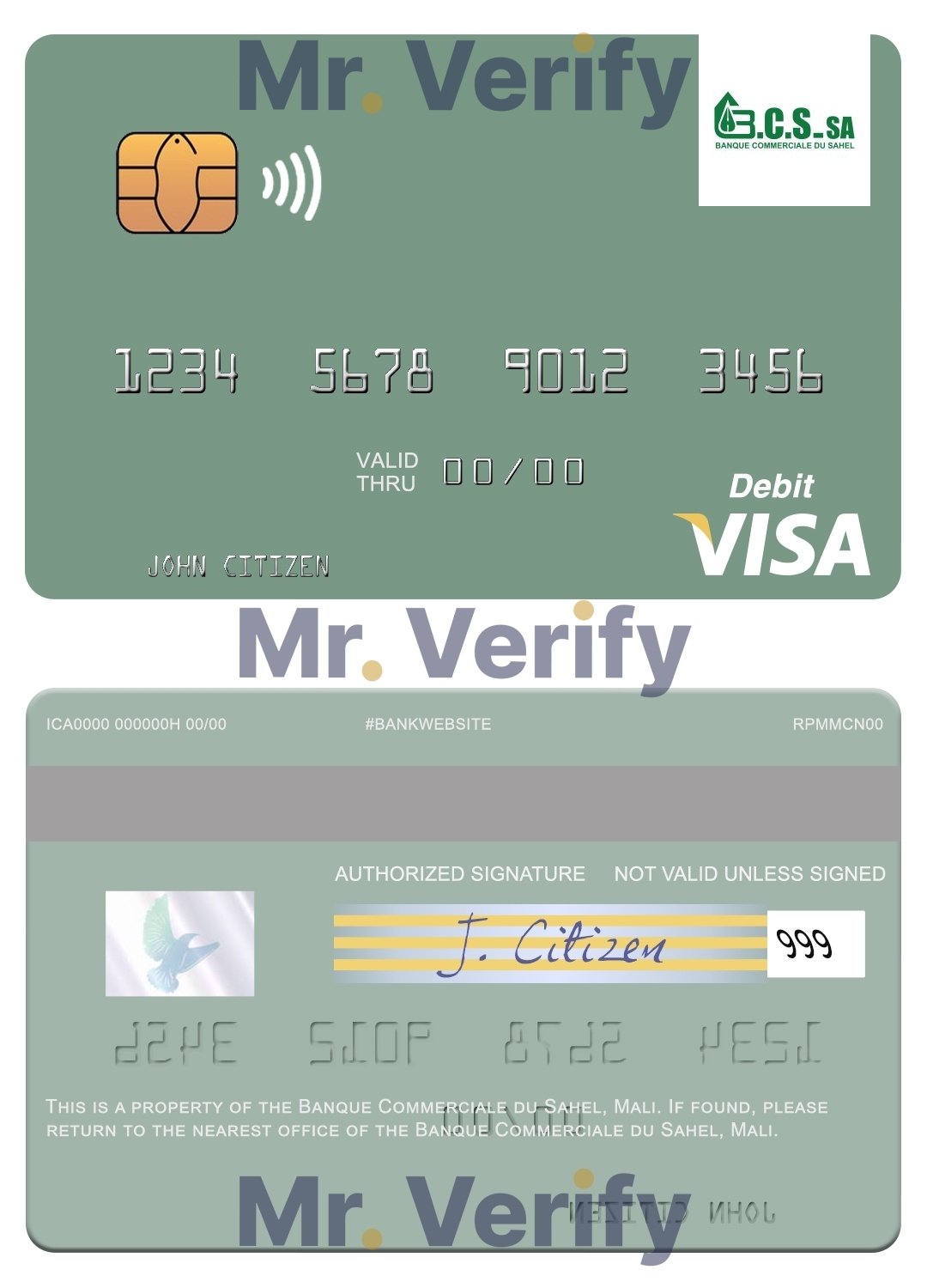 Fillable Mali Banque Commerciale du Sahel visa card Templates | Layer-Based PSD