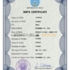 Authentic Mali Birth Certificate Template | Customize and Download Online