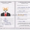 Malta dog Fake PSD Passport | Instant Download