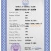 Authentic Marshall Islands Birth Certificate Template | Customize and Download Online