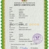 Authentic Mauritius Birth Certificate Template | Customize and Download Online