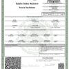 Authentic Mexico Birth Certificate Template | Customize and Download Online