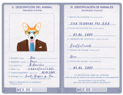Mexico dog Fake PSD Passport | Instant Download