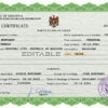 Authentic Moldova Birth Certificate Template | Customize and Download Online
