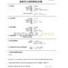 Authentic Monaco vital record Birth Certificate Template | Customize and Download Online