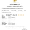 Authentic Montenegro Birth Certificate Template | Customize and Download Online