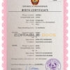 Authentic Mozambique Birth Certificate Template | Customize and Download Online