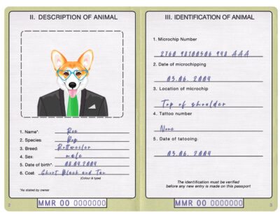 Myanmar dog Fake PSD Passport | Instant Download