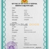 Authentic Myanmar Birth Certificate Template | Customize and Download Online