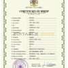 Authentic Namibia Birth Certificate Template | Customize and Download Online