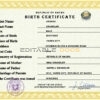 Authentic Nauru Birth Certificate Template | Customize and Download Online