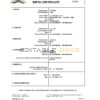Authentic Netherlands vital record Birth Certificate Template | Customize and Download Online