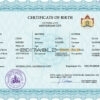 Authentic Netherlands Birth Certificate Template | Customize and Download Online