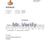 Download Netherlands Rabobank Bank Reference Letter Templates | Editable Word