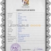 Authentic New Zealand Birth Certificate Template | Customize and Download Online