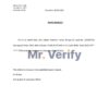 Download New Zealand Ami Bank Reference Letter Templates | Editable Word