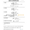 Authentic Niger Birth Certificate Template | Customize and Download Online