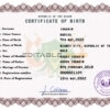 Authentic Niger Birth Certificate Template | Customize and Download Online