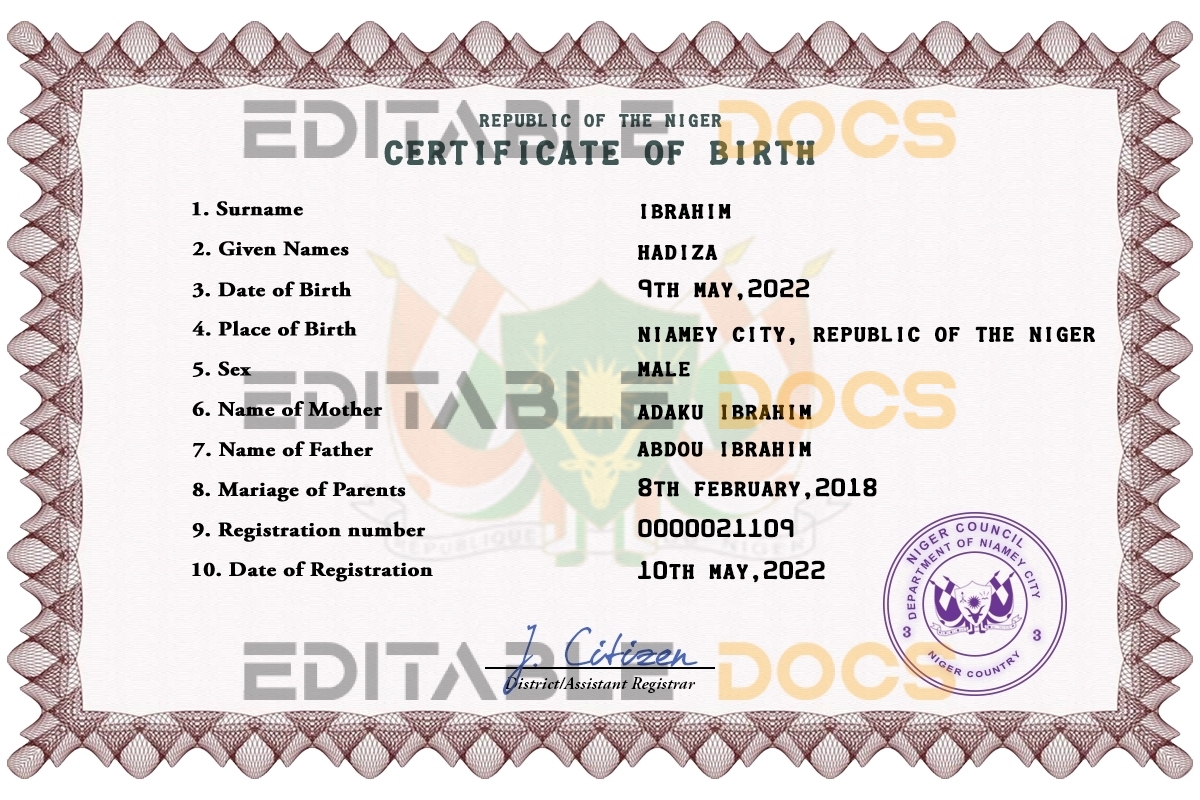 Authentic Niger Birth Certificate Template | Customize and Download Online