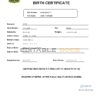 Authentic Nigeria Birth Certificate Template | Customize and Download Online